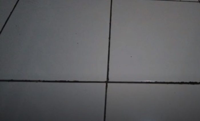 Membuat Becek Memek Mulus Binor Kesepian