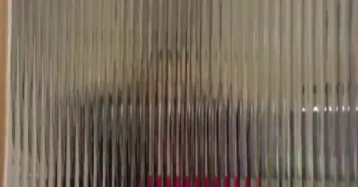 Jilat Memek Wanita Karir Saat Kantor Sepi