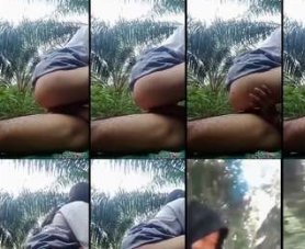 Abg Sma Hijab Wikwik di Kebun Sawit Nyampe Menjerit